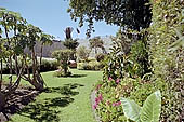 Arequipa, Convent of Santa Catalina de Sena, the garden